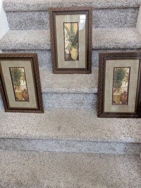 Set of 3 - Framed Botanical Tropical Plant Prints into your Tropical Escape